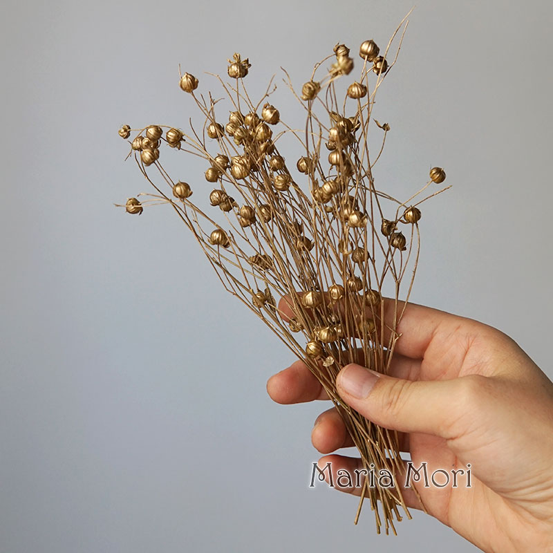 5g Preserved Flax Bean Natural - Candle Making Supplies review and price